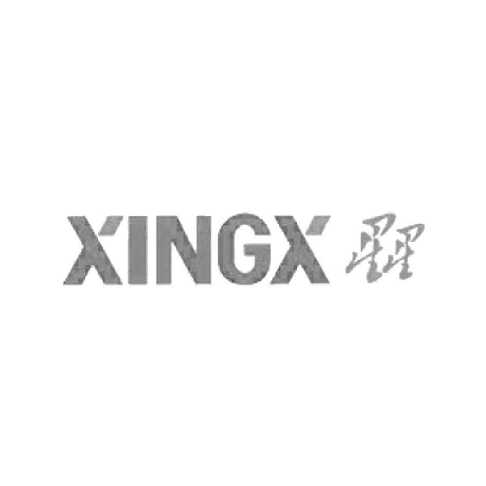 XINGX星星