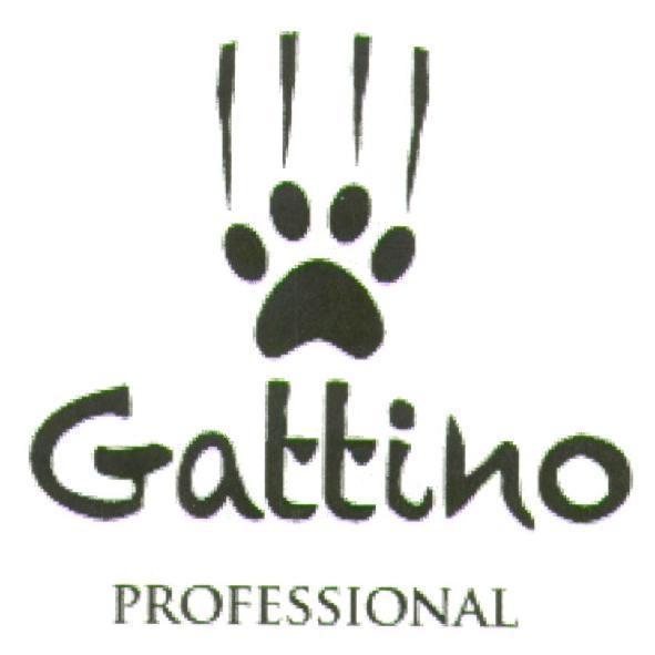 Gattino 及圖