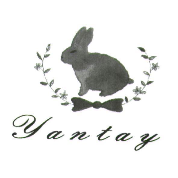 YANTAY 及圖