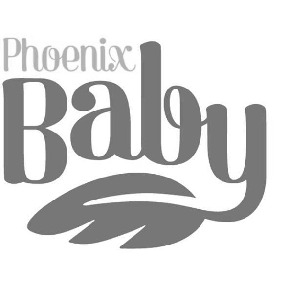 Phoenix baby設計圖