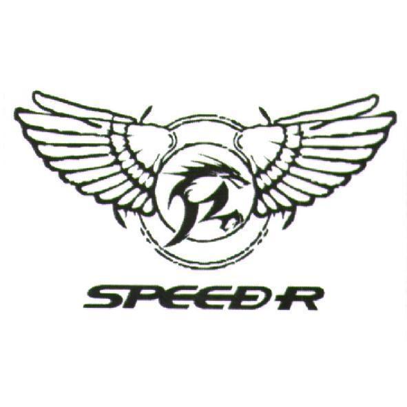 SPEED-R 及圖
