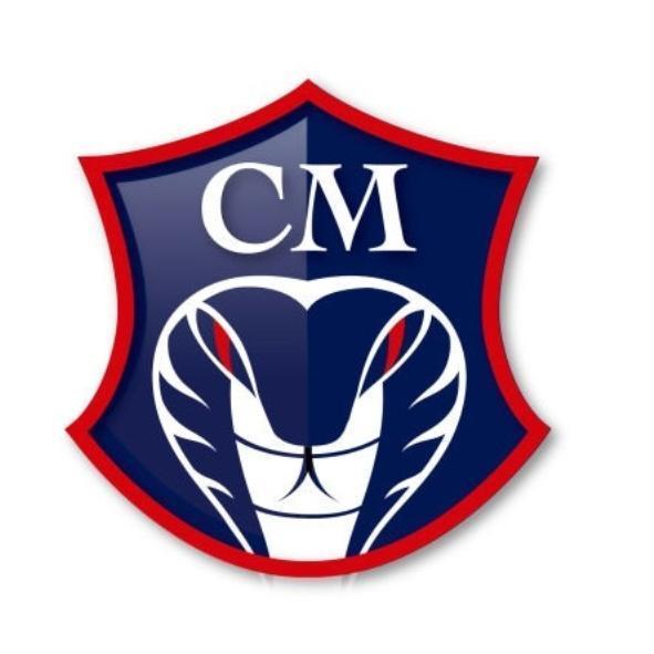 創奇科技標章CM(二)