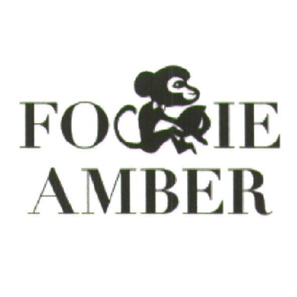 FO IE AMBER 及圖