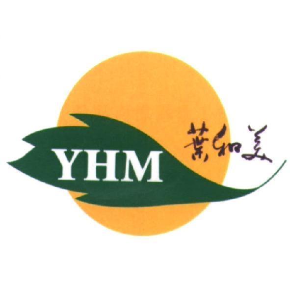 葉和美 YHM 及　圖