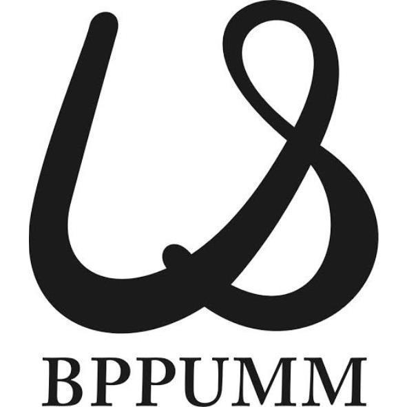 BPPUMM及圖