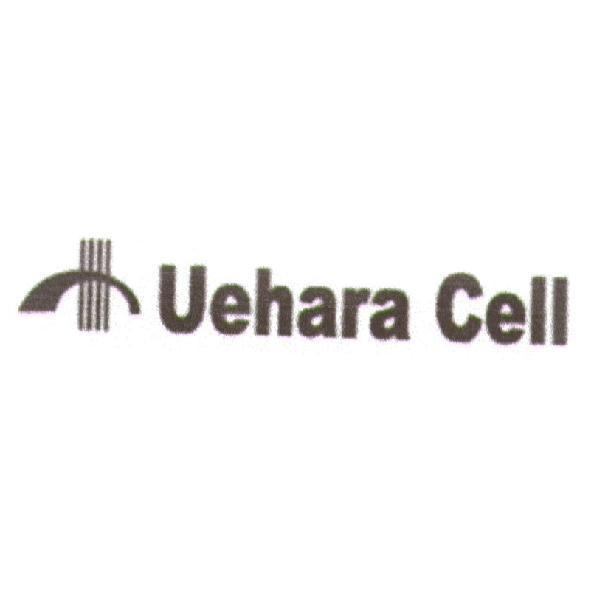 Uehara Cell 及圖