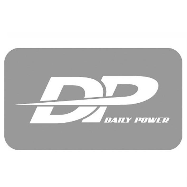 DP DAILY POWER及圖