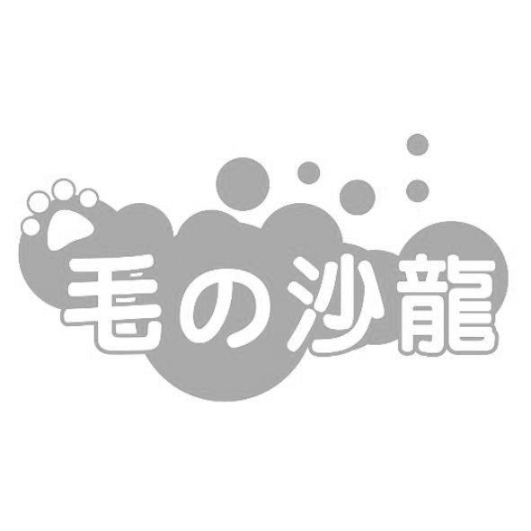 毛の沙龍及圖