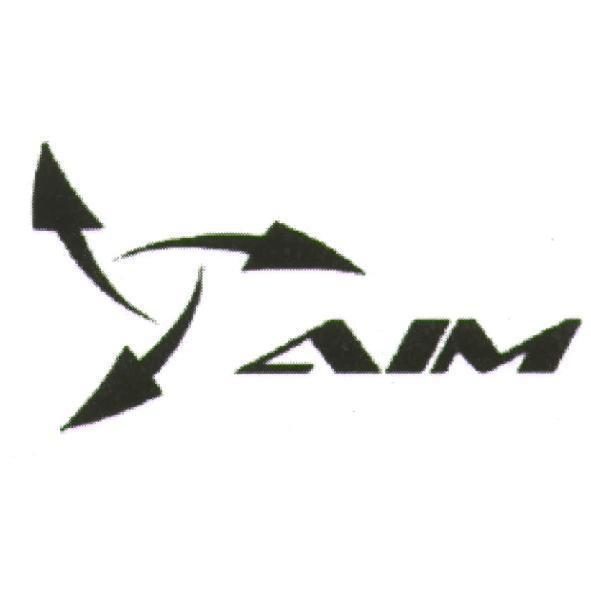 AIM 及圖