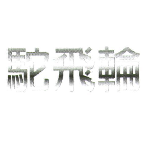 駝飛輪
