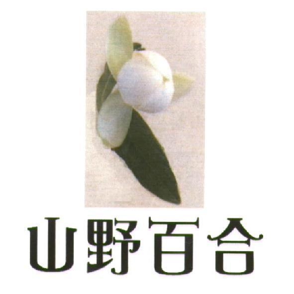 山野百合及圖