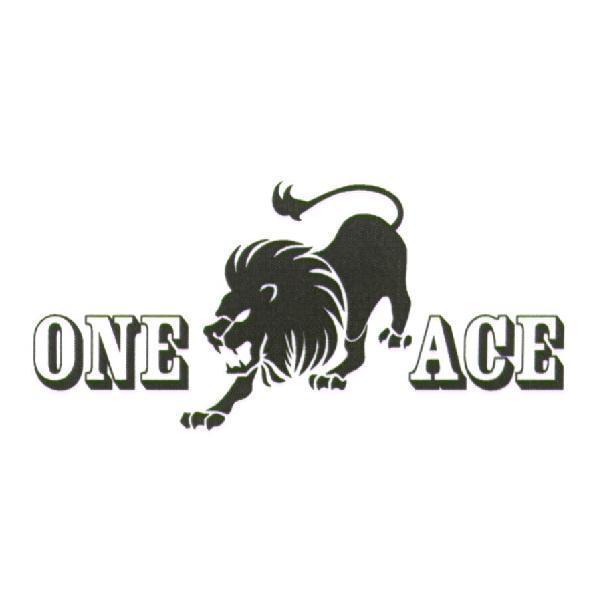 ONE ACE 及圖