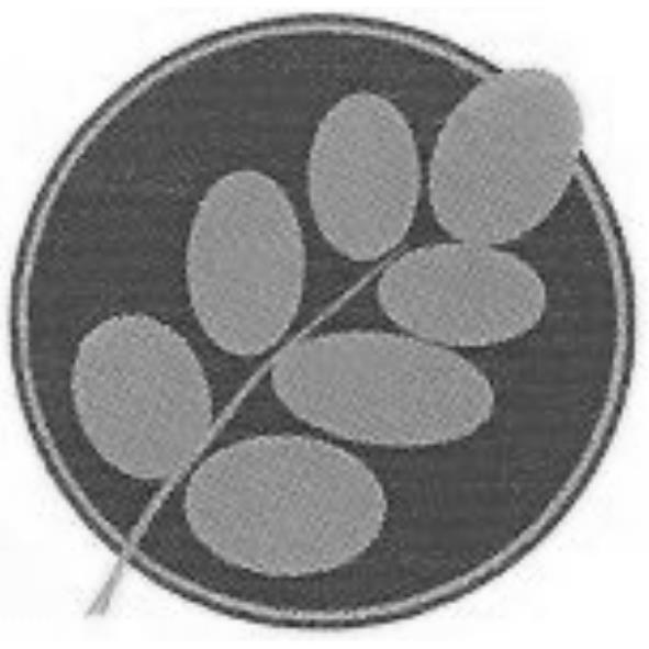 三鳳科技股份有限公司標章