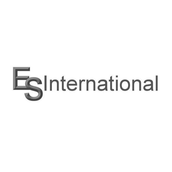 ESInternational設計字