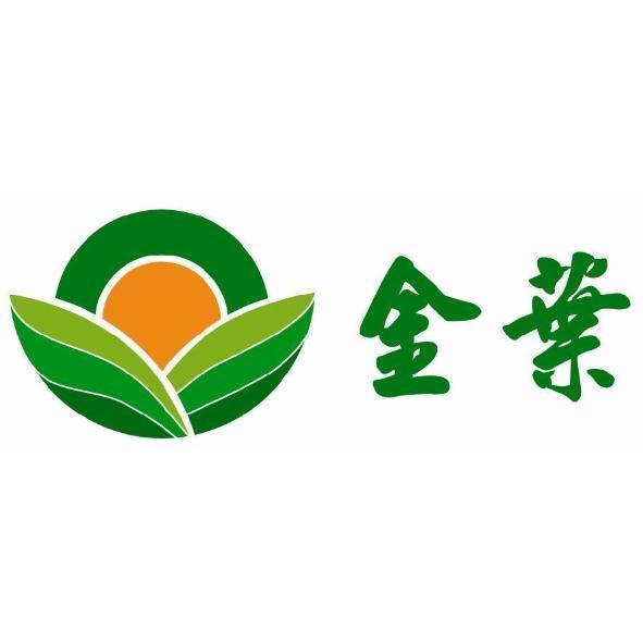 金葉及圖(彩色)