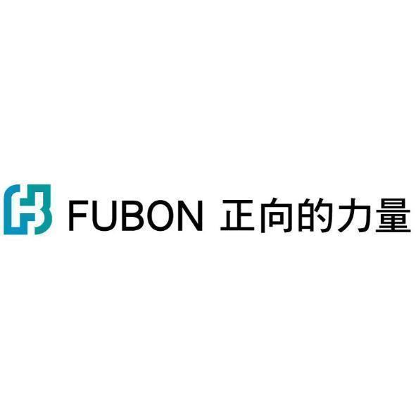 FB FUBON 正向的力量設計圖(彩色)