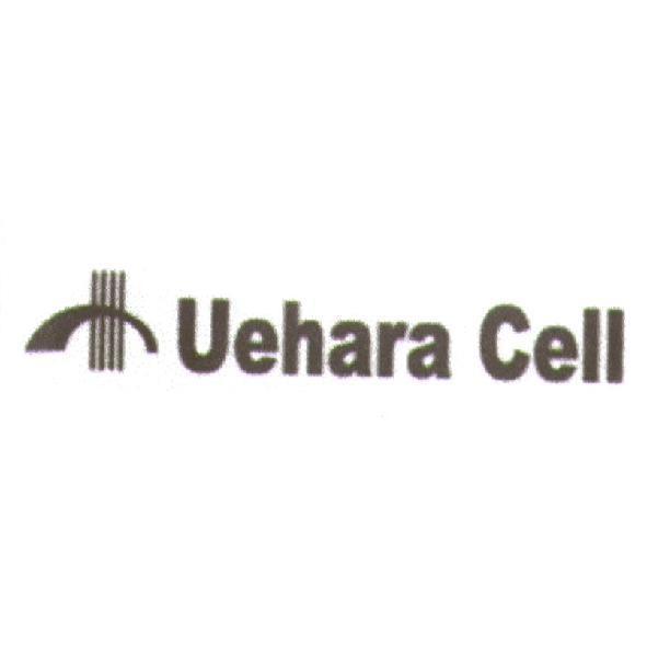 Uehara Cell 及圖