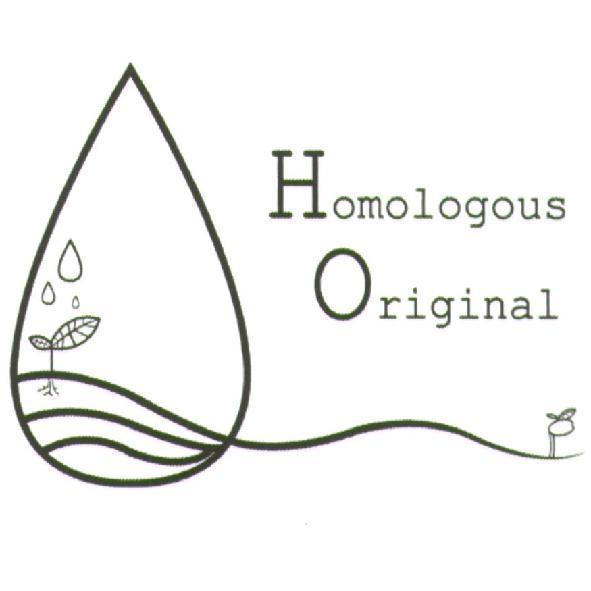 Homologous Original 及圖