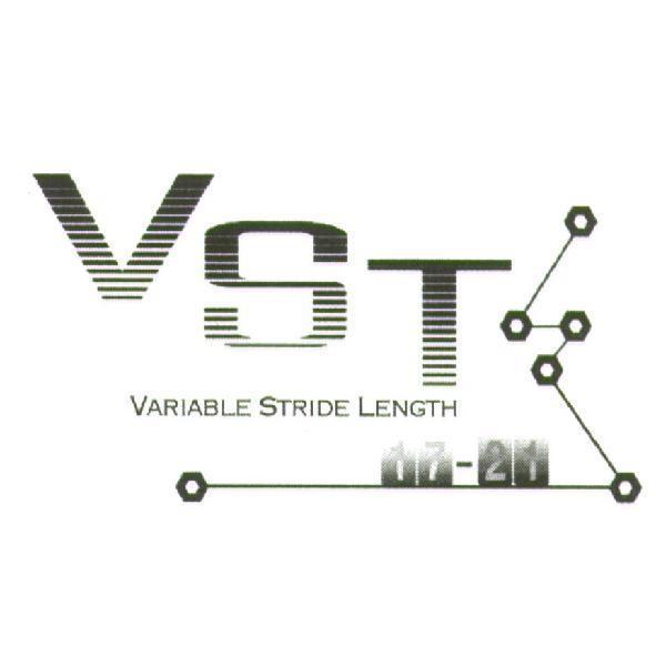 VST 及圖