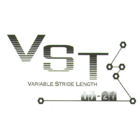 VST 及圖