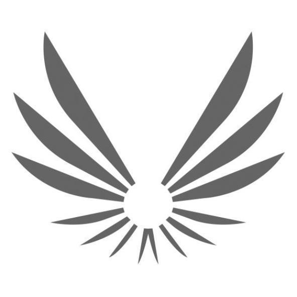 維特國際教育有限公司標章