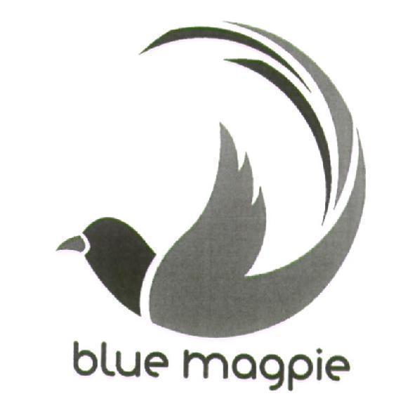 blue magpie 及圖