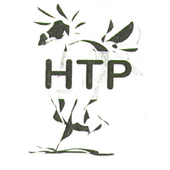 HTP 及圖