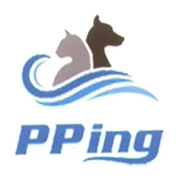 PPing 及圖