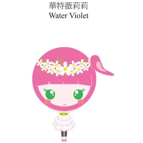 華特薇莉莉Water Violet及圖