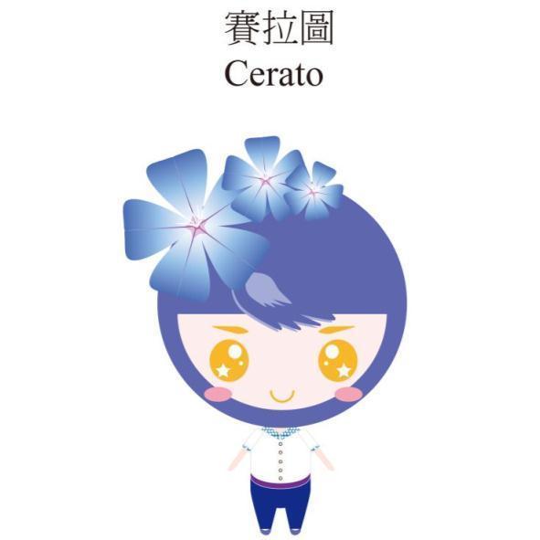 賽拉圖Cerato及圖