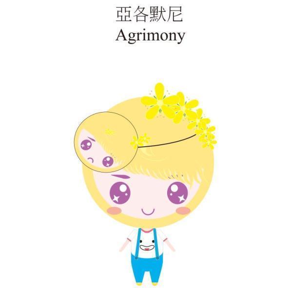 亞各默尼Agrimony及圖
