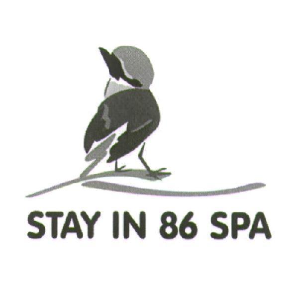 美合國際實業股份有限公司 STAY IN 86 SPA 及圖