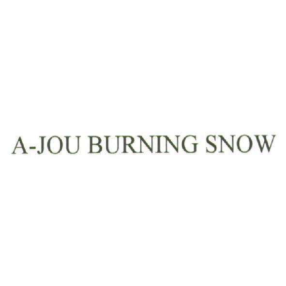 A-JOU BURNING SNOW