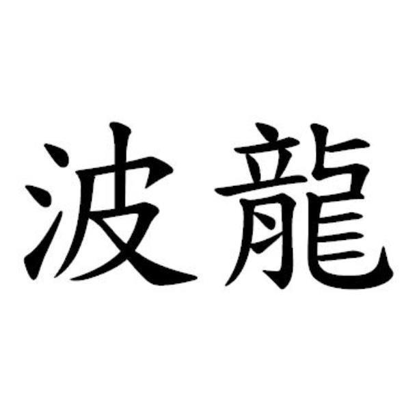 波龍