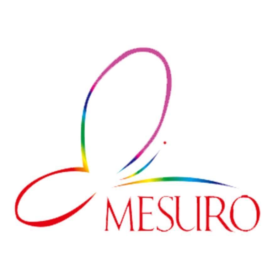 MESURO及圖