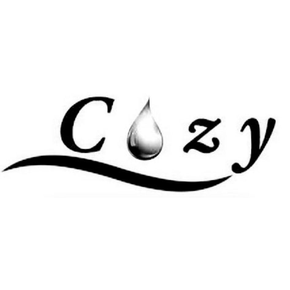 Cozy設計圖