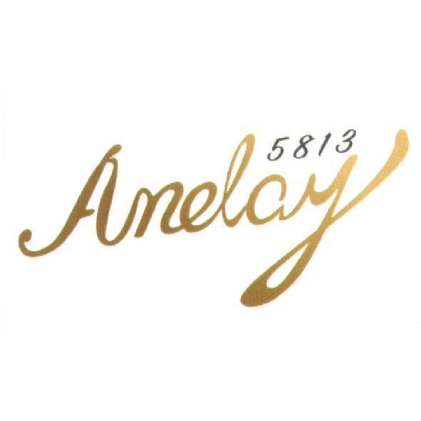 Anday5813