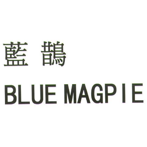 藍鵲 BLUE MAGPIE