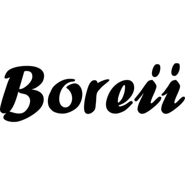 Boreii設計字