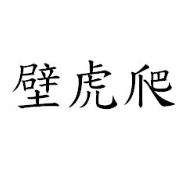 壁虎爬