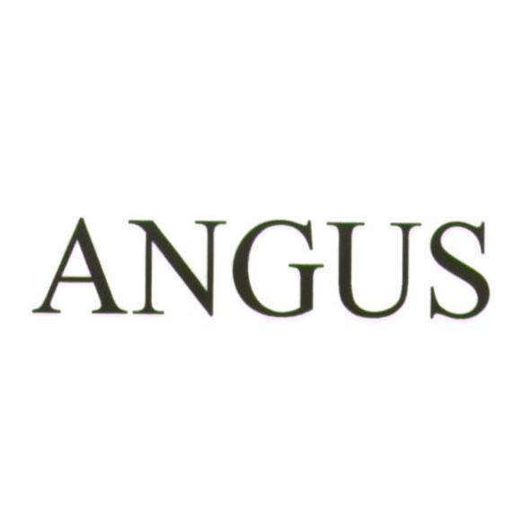 安格斯化學公司 ANGUS