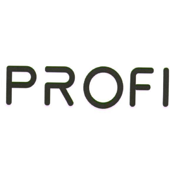 PROFI 設計圖