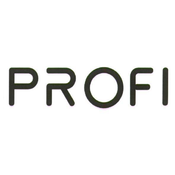PROFI 設計圖