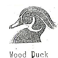 Wood Duck及圖(一)
