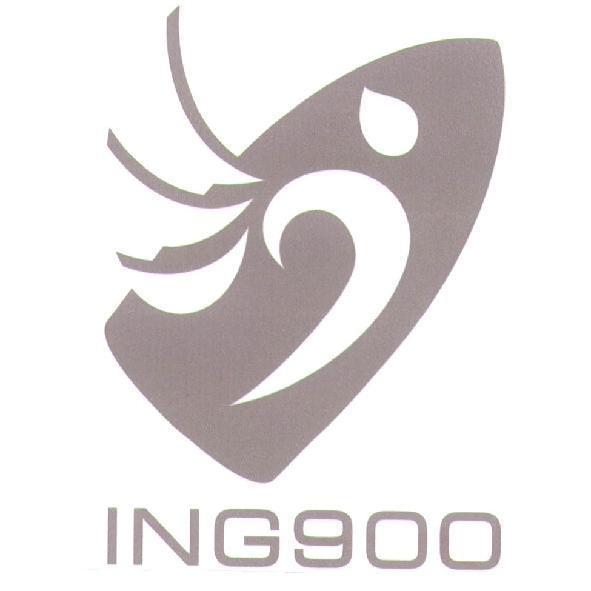 ING900 及圖