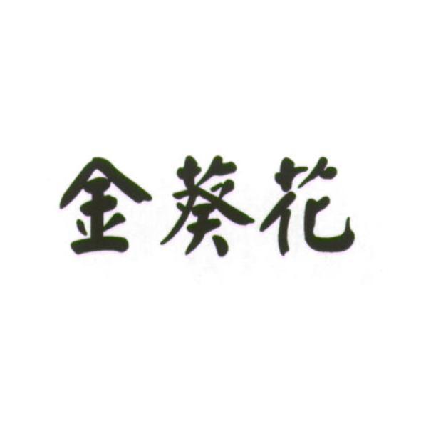 金葵花