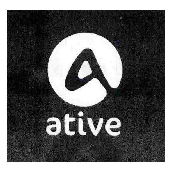 ative 及圖