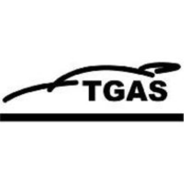 TGAS及圖