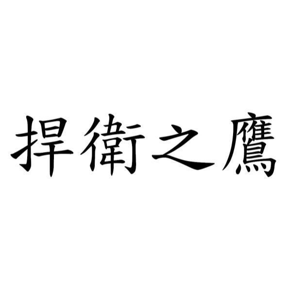 捍衛之鷹