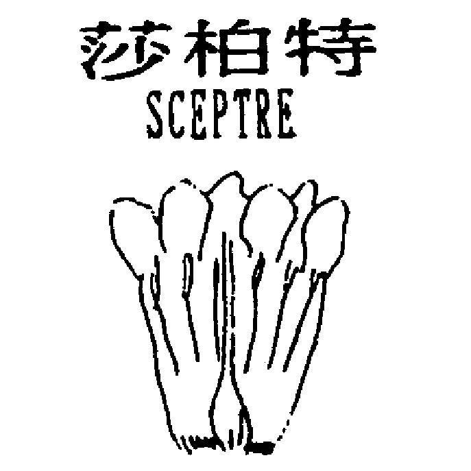 莎柏特SCEPTRE及圖